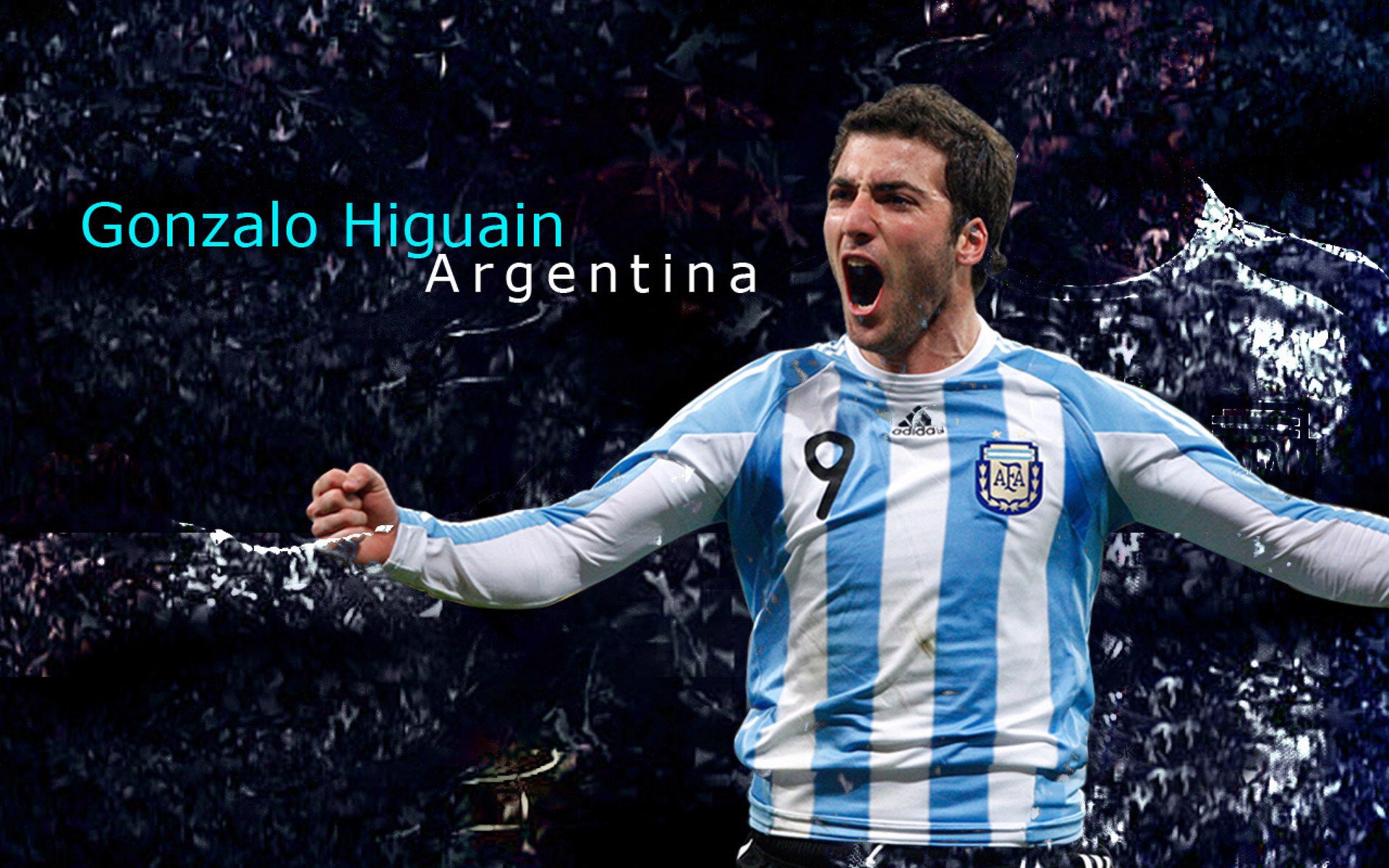 球员的成长支撑:青训体系中的“秘密武器”,青训球员标准